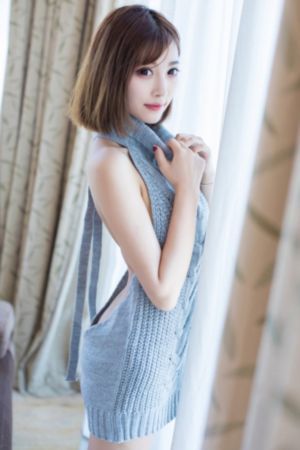 新西游